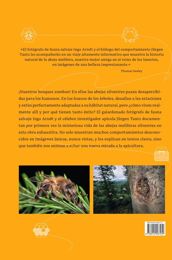 Abejas melíferas