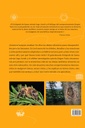 Abejas melíferas